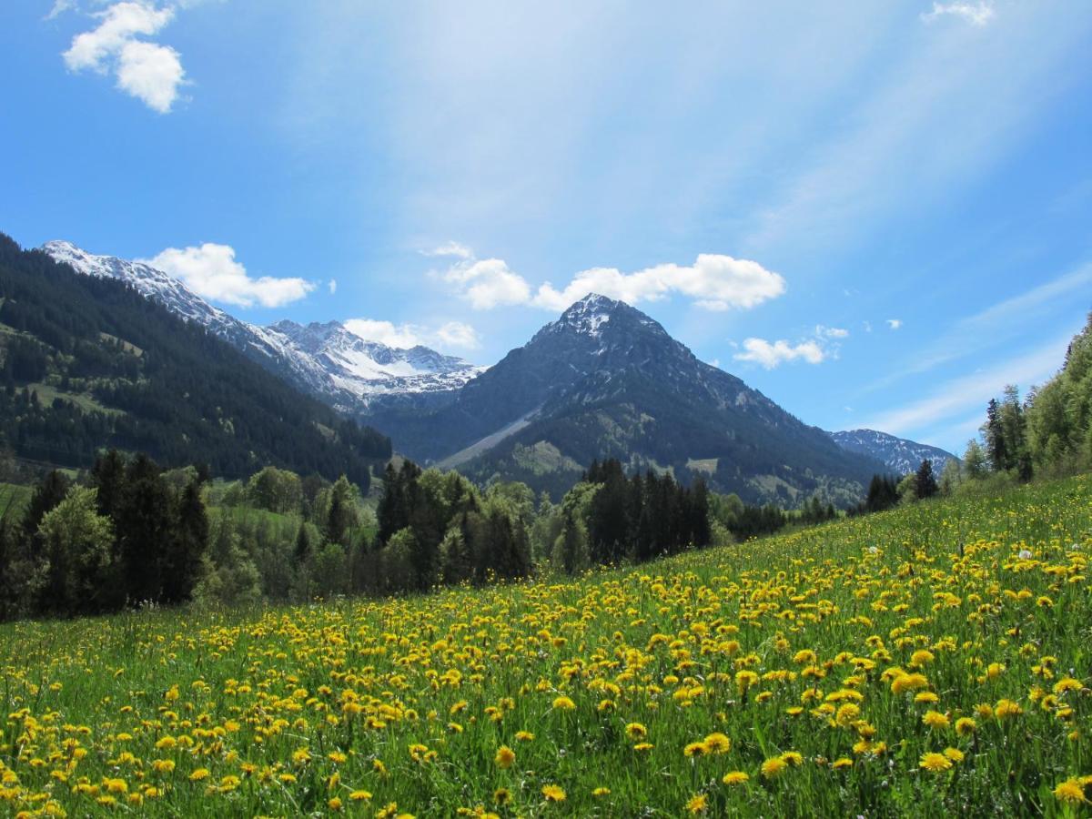 Hornblick Fewo- Ab Mai Freie Fahrt Mit Bergbahnen Oberstdorf Exterior photo